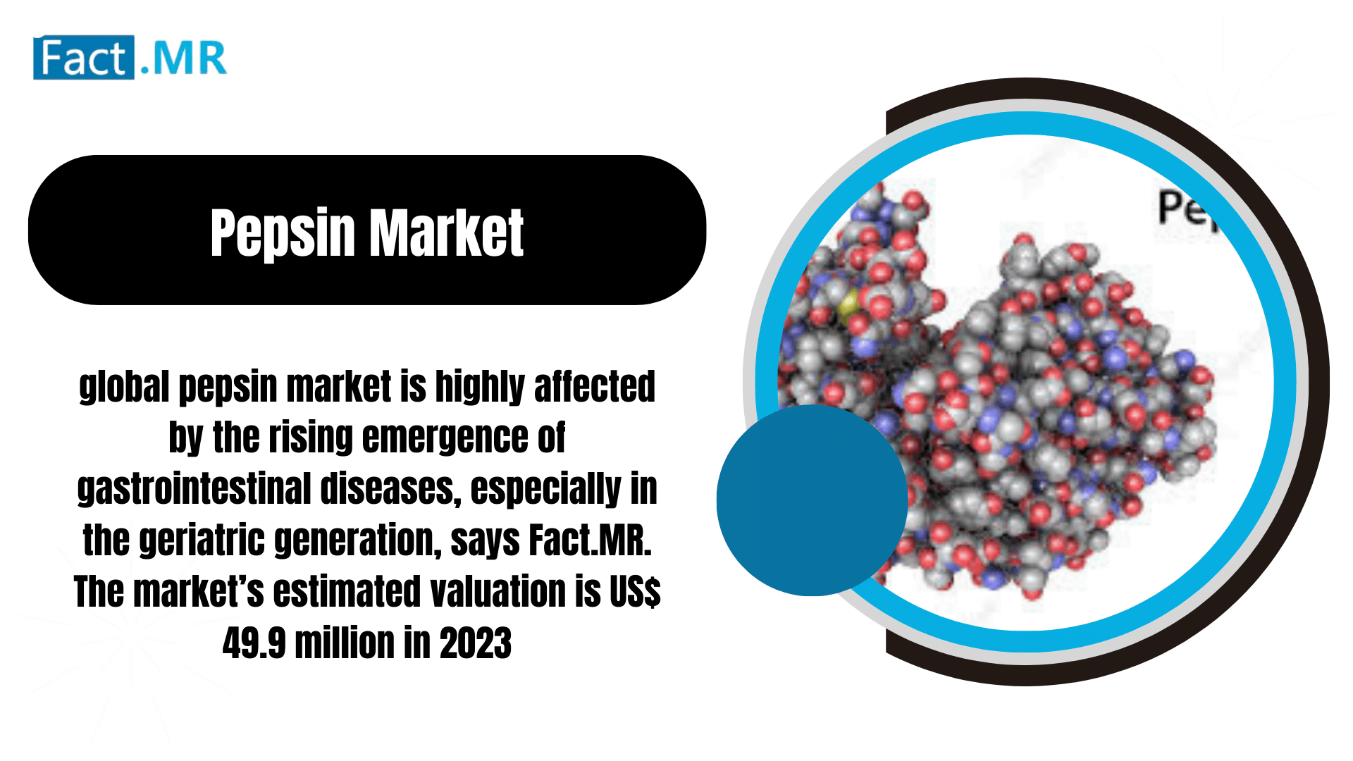 Pepsin Market Unveiling Digestive Enzyme's Industrial Significance