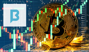 Bitmedia
