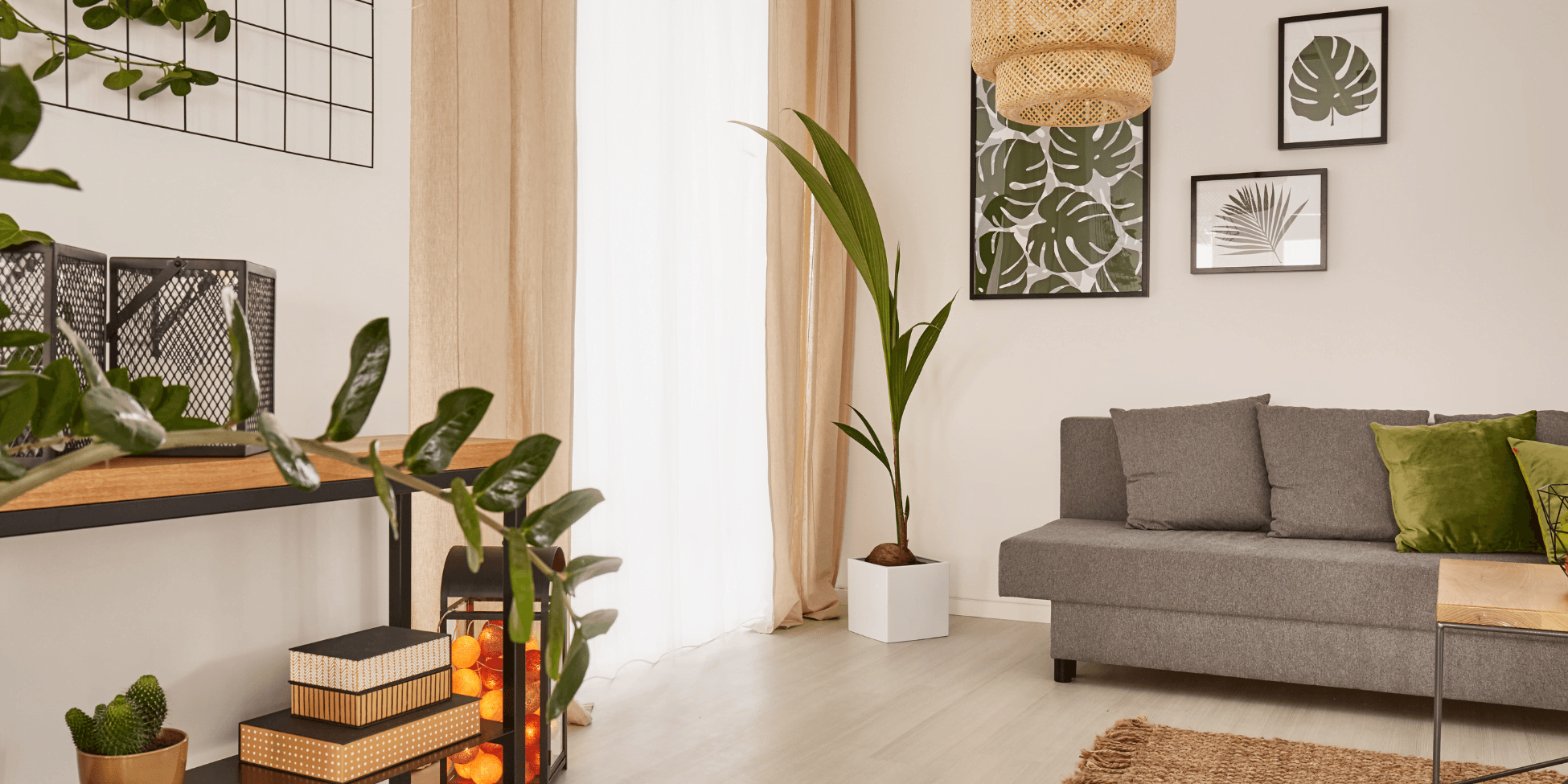 Introducing Mystic Home Paradise: Your Destination for Exquisite Home Decor - Newstrail