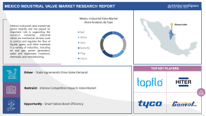 Mexico Industrial Valve Market