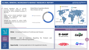 Mineral Ingredients market