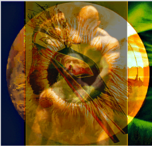 Contemporary NFT Art World: Riding the Bull-Market Wave into Web3 Future of Ownership