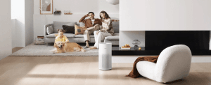 Smartmi Air Purifier for Home