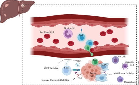 Hepatitis A Virus Cellular Receptor 2 Market