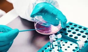 clinical microbiology.