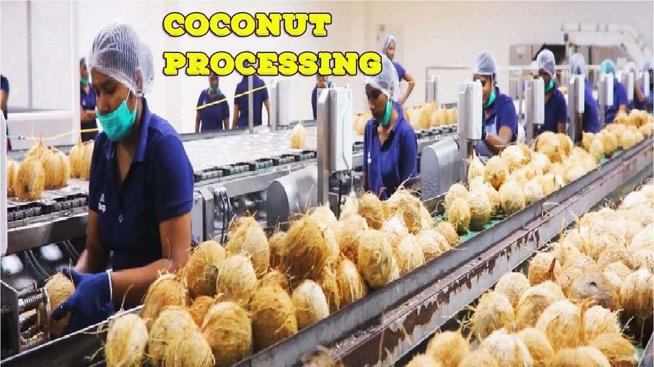 Coconut Processing Market to Witness Remarkable Growth by 2030 - Newstrail