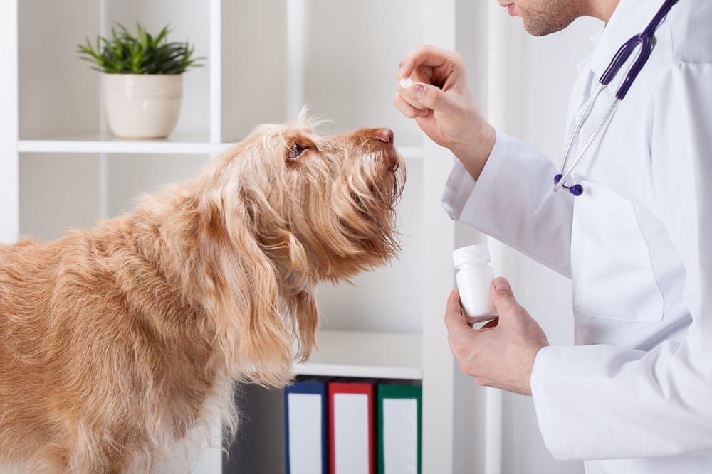 Animal Drug Compounding Market