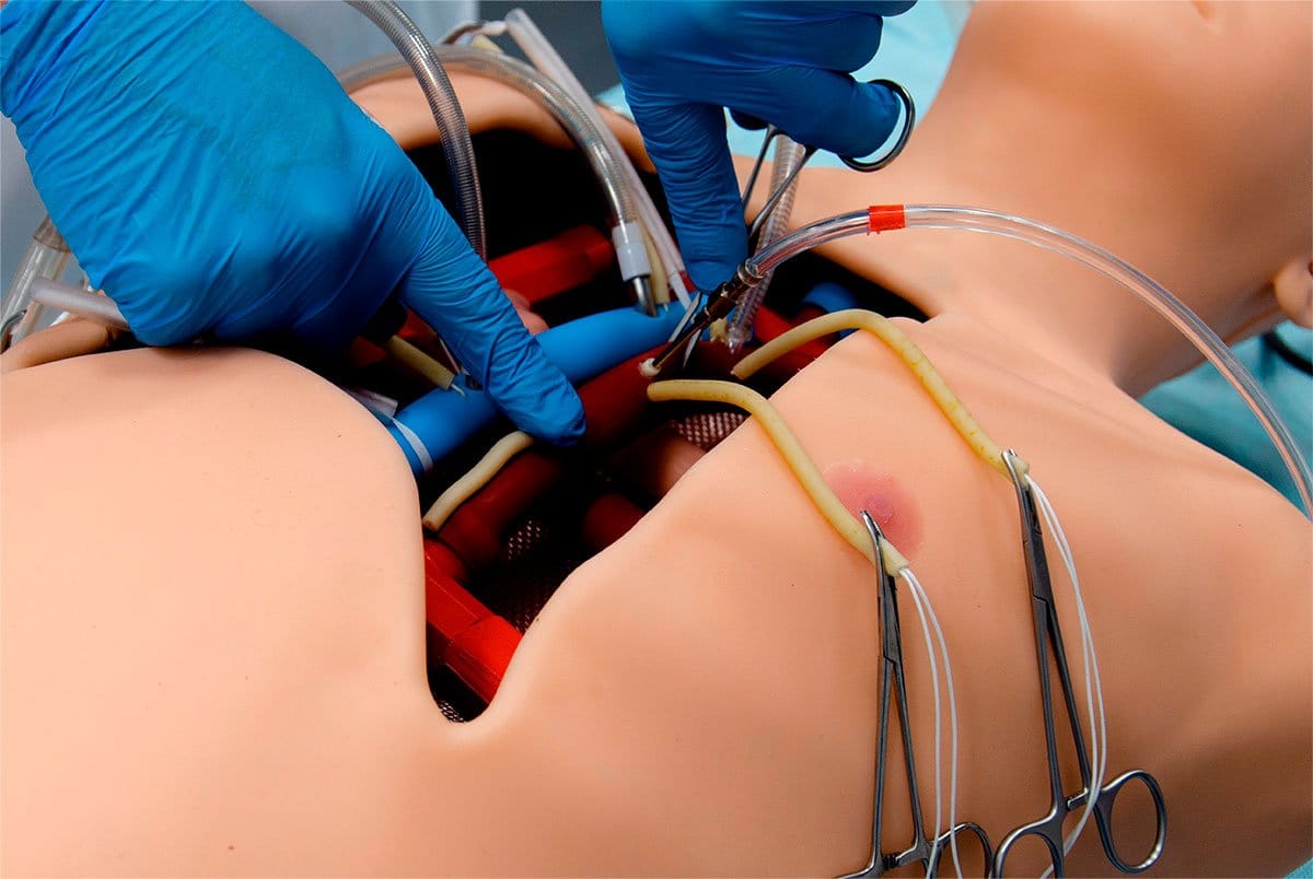 Cardiac Surgery Simulator