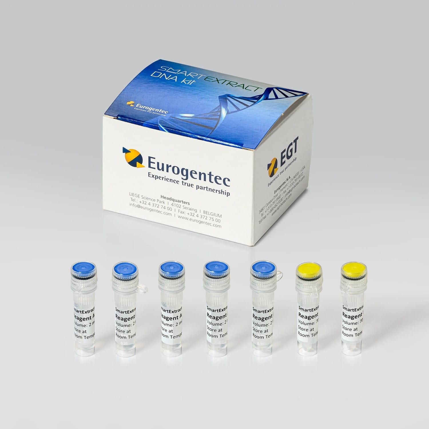 DNA Extraction Kits Market Unveiling Promising Growth with Major Giants ...