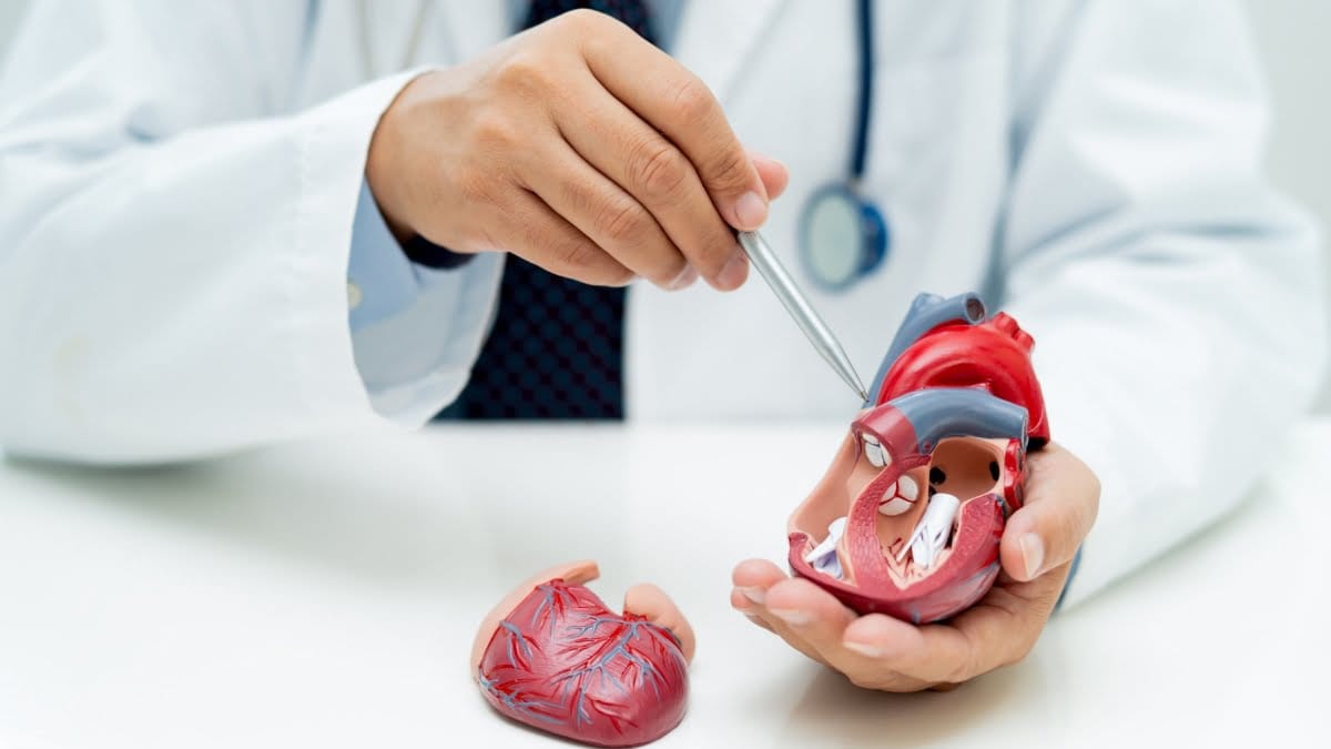 Cardiac Prosthetic Devices Market to See Drastic Growth – Post 2024 ...