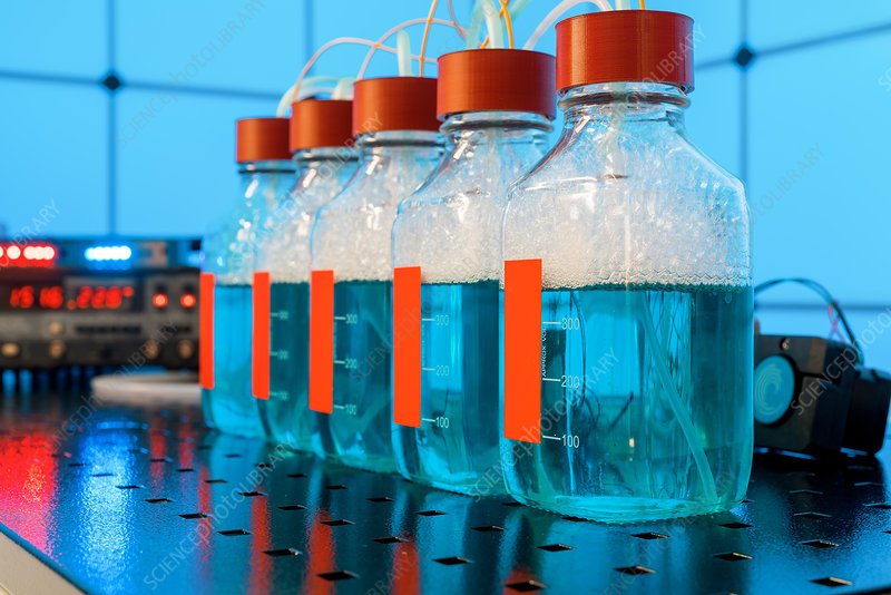 Biohydrogen Market