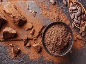 Cocoa Solids Market