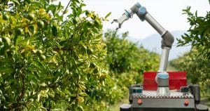 Robotic Fruit Picker Market