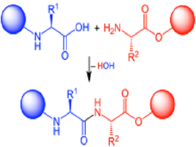 Peptide Synthesis Market