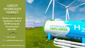 Green Hydrogen Market