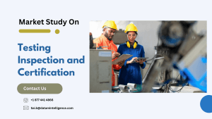 Testing Inspection and Certification Market