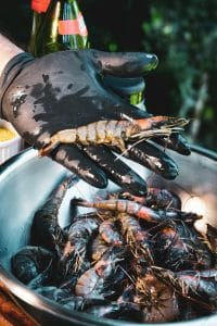 Global Shrimp Feed Market: Trends, Growth, and Market Dynamics