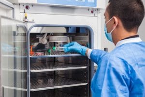 Cell Culture Incubator Market