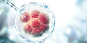 Cell Line Development Services Market