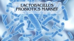Lactobacillus Probiotic Market
