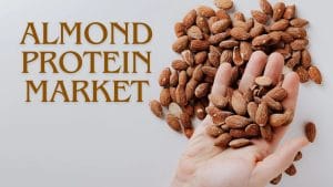 Almond Protein Market