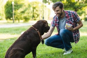 10 Tips for First-Time Dog Owners