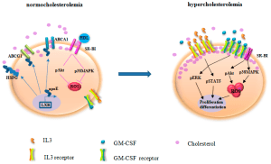 Heterozygous Familial Hypercholesterolemia Management Market