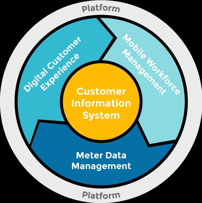 Customer Information System (CIS) Market Is Booming So Rapidly ...