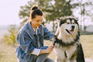 Guide to Dog Vaccination Keeping Your Pet Safe and Healthy Year-Round