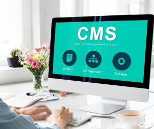How To Choose a CMS Best Fitted For Business Needs– Top Factors To Consider