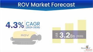 ROV Market Size & Forecast