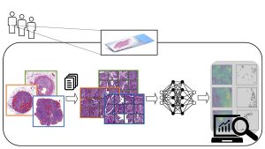 Computational Pathology Market