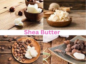 Shea Butter Market