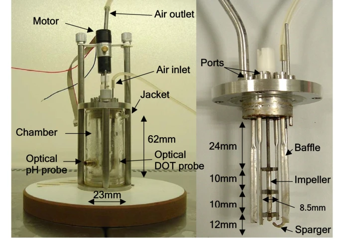 Microscale Bioreactor Small Scale Bioreactors Market Set to Witness Growth to USD 2.5 Billion ...