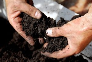 Soil Treatment Market