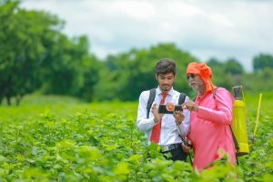 Agro Rural Tourism Market