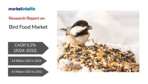 Bird Food Market