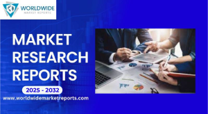 Skilled Nursing Facilities Market