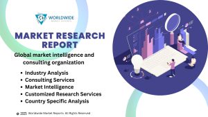 Automotive Industry Conveyor System Market