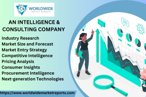 Goods-to-Person Picking Solution Market