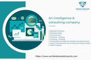 Luggage Self-Service Baggage Handling Market
