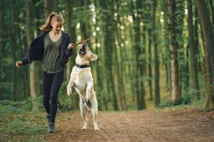 Importance of daily exercise for your dog's physical and mental health