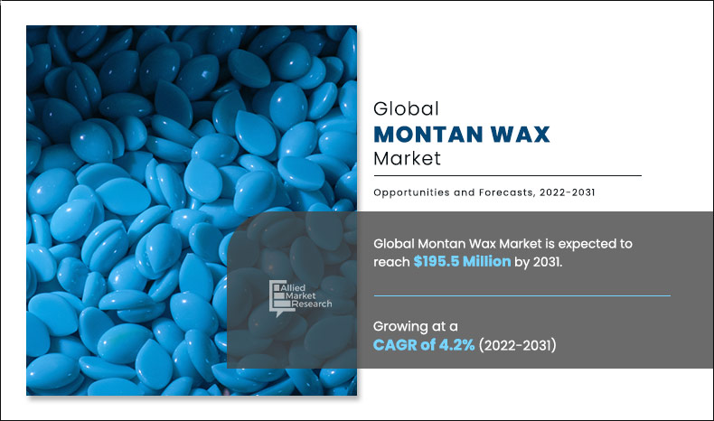 Montan Wax Market