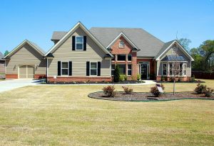 Sustainable Renovations Eco-Friendly Ideas for the Modern Homeowner