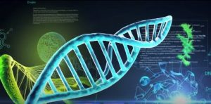 Transcriptomics Technologies Market