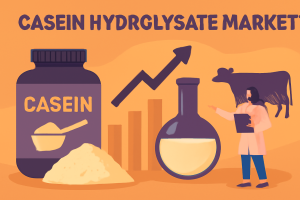 Casein Hydrolysate Market