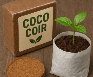 Coco Coir Peat Market