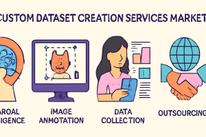 Custom Dataset Creation Services Market