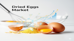 Dried Eggs Market