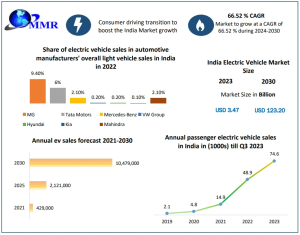 India’s Electric Vehicle Market